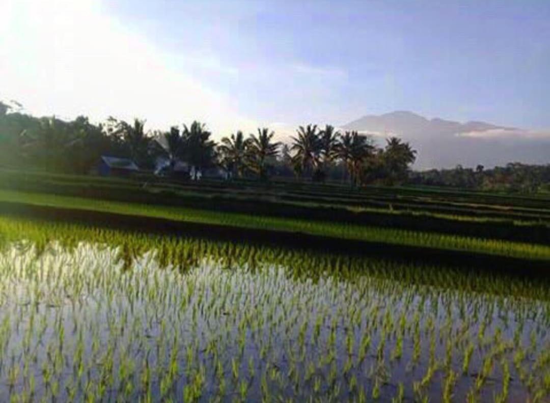 Sky Garden Lombok Apartment Tetebatu Exterior foto