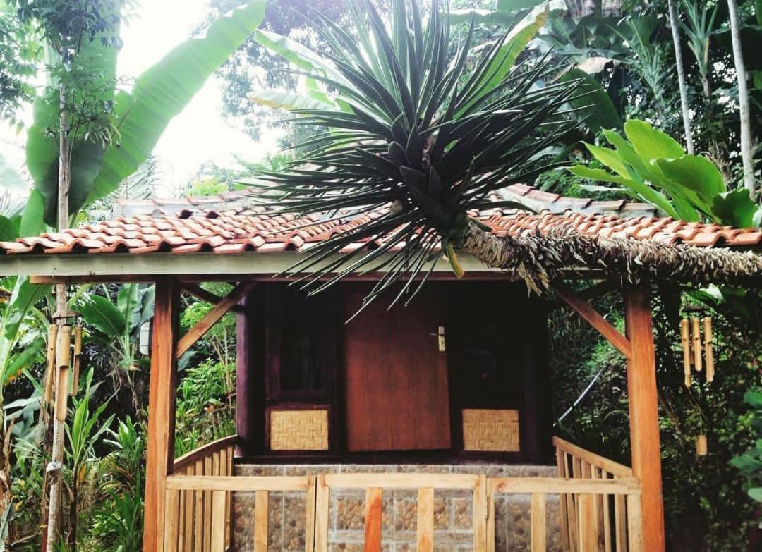 Sky Garden Lombok Apartment Tetebatu Exterior foto