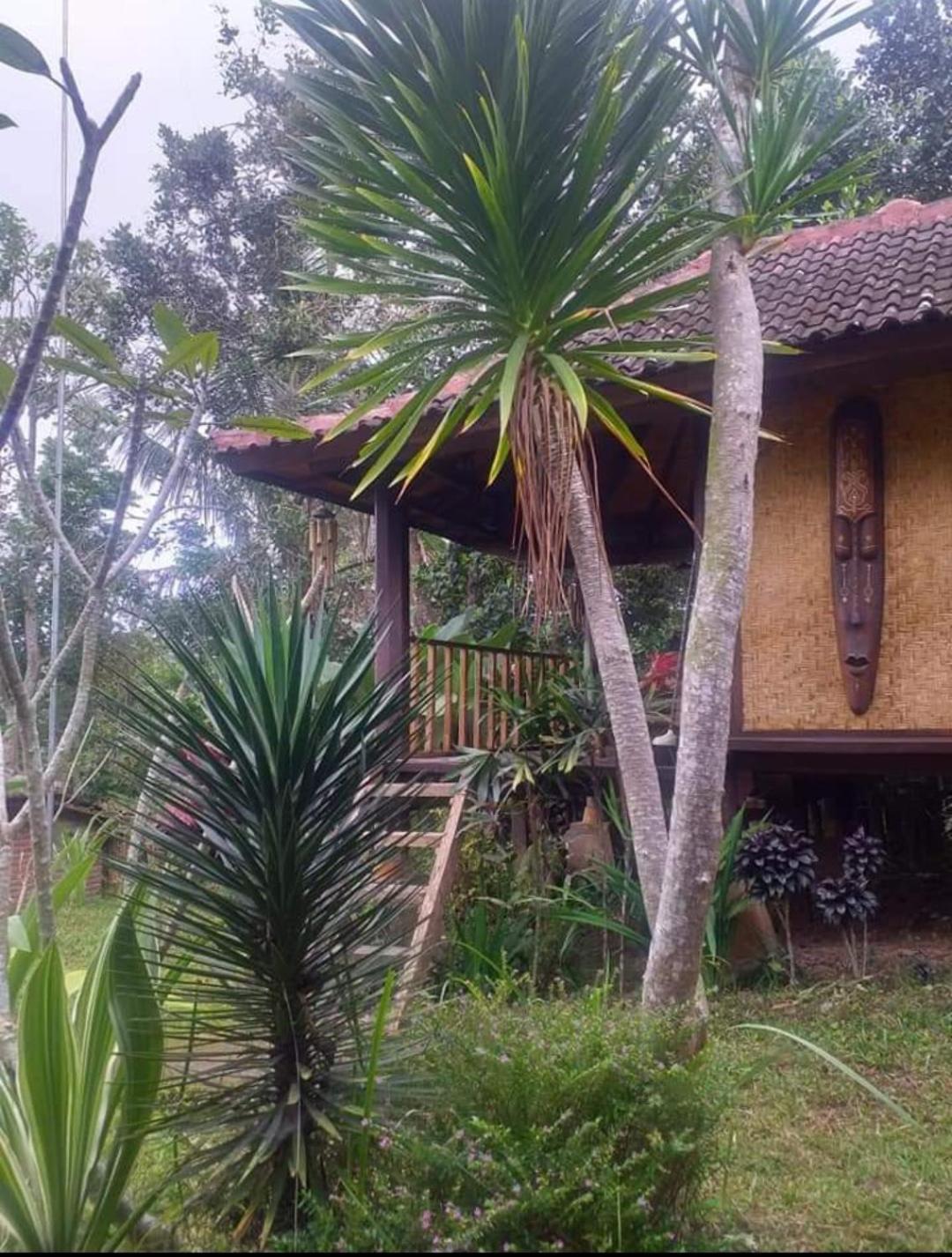 Sky Garden Lombok Apartment Tetebatu Cameră foto